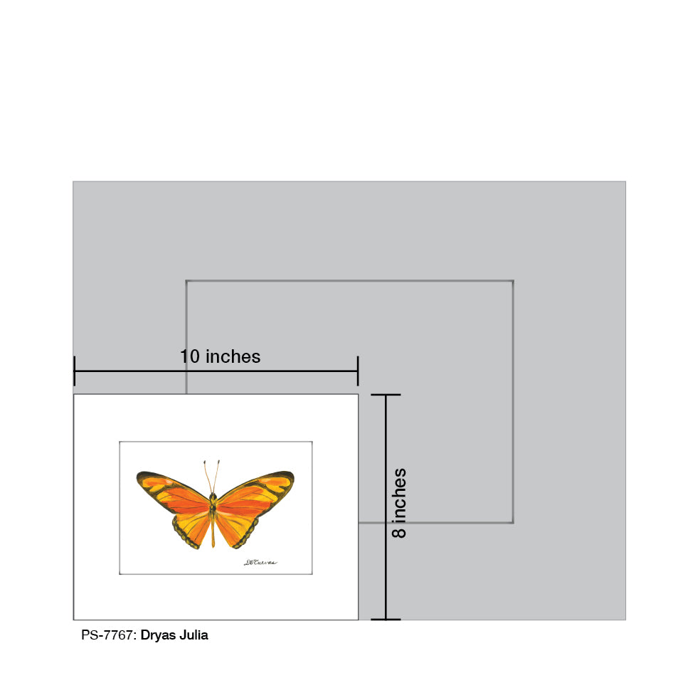 Dryas Julia Butterfly, Print (#7767B)