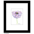 Flair, Print (#8092A)