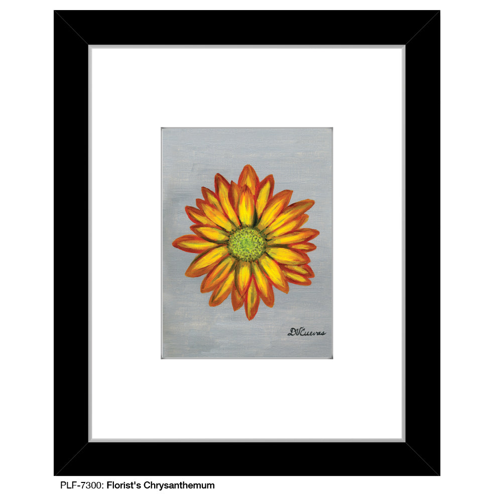 Florist's Chrysanthemum, Print (#7300A)