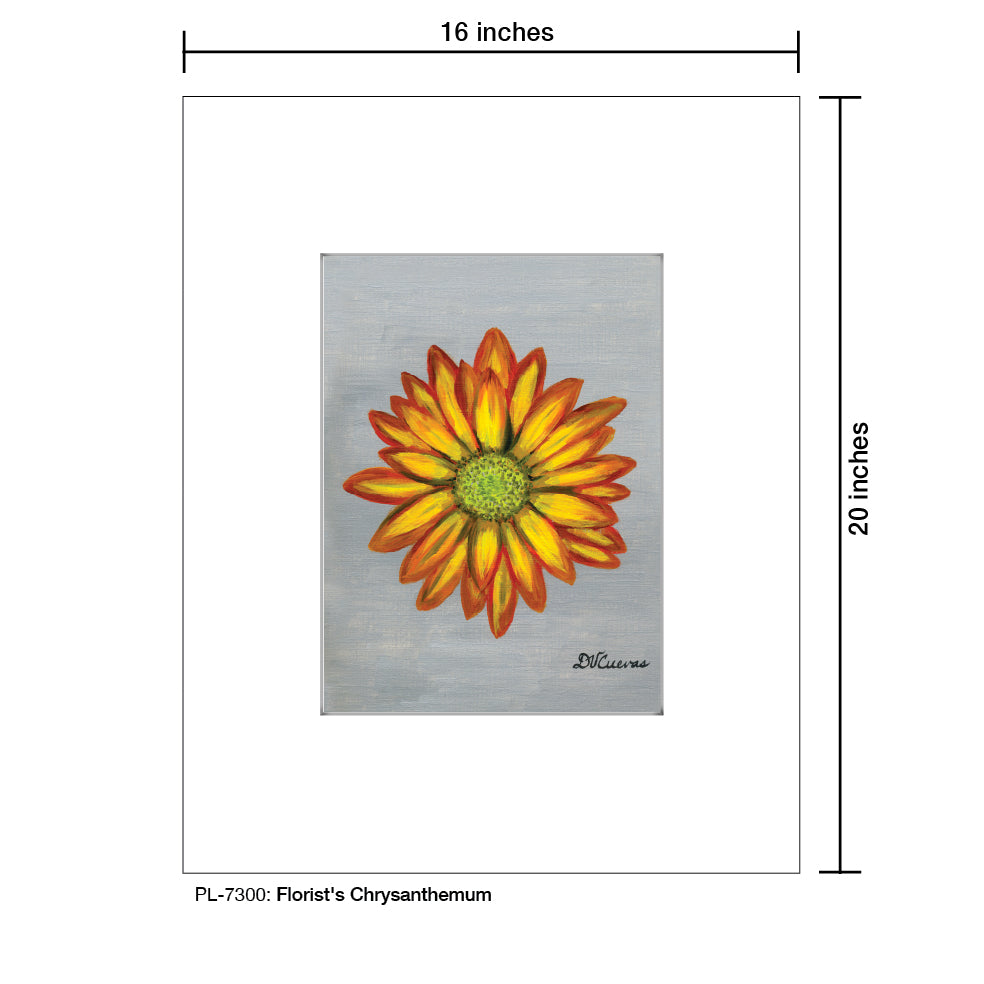 Florist's Chrysanthemum, Print (#7300A)