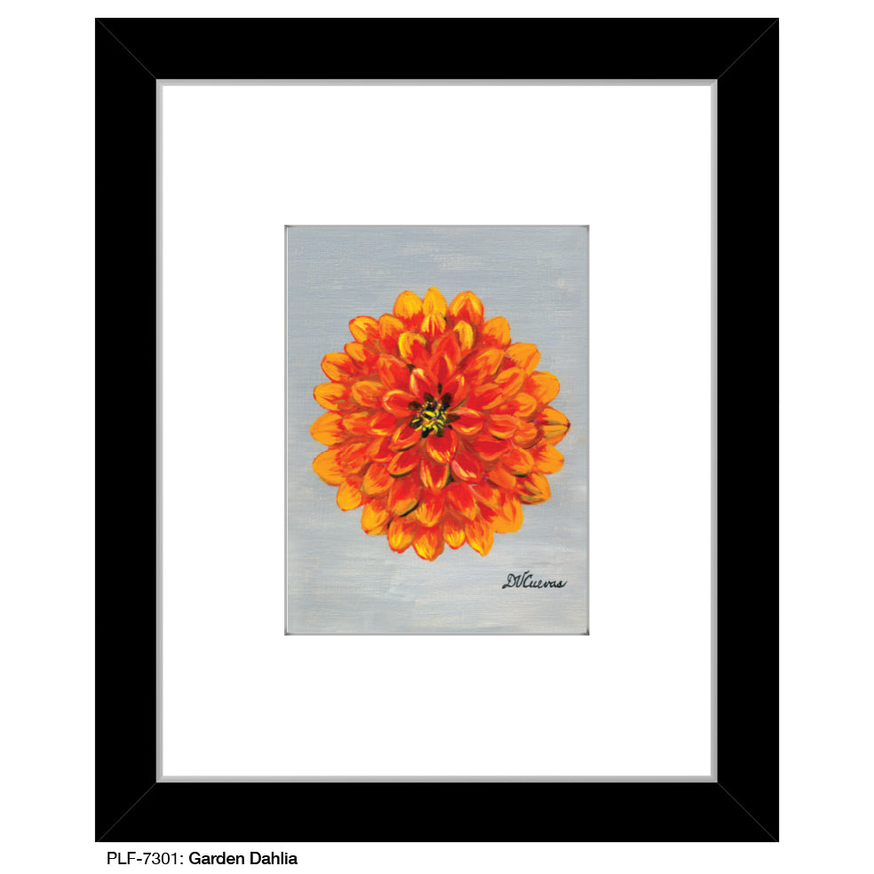 Garden Dahlia, Print (#7301G)
