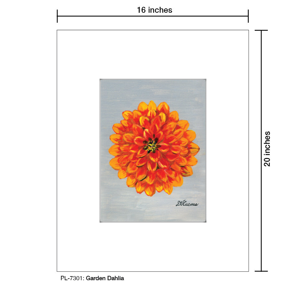 Garden Dahlia, Print (#7301G)