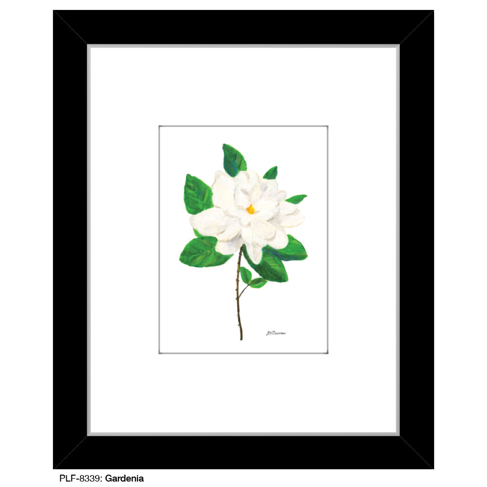 Gardenia, Print (#8339B)
