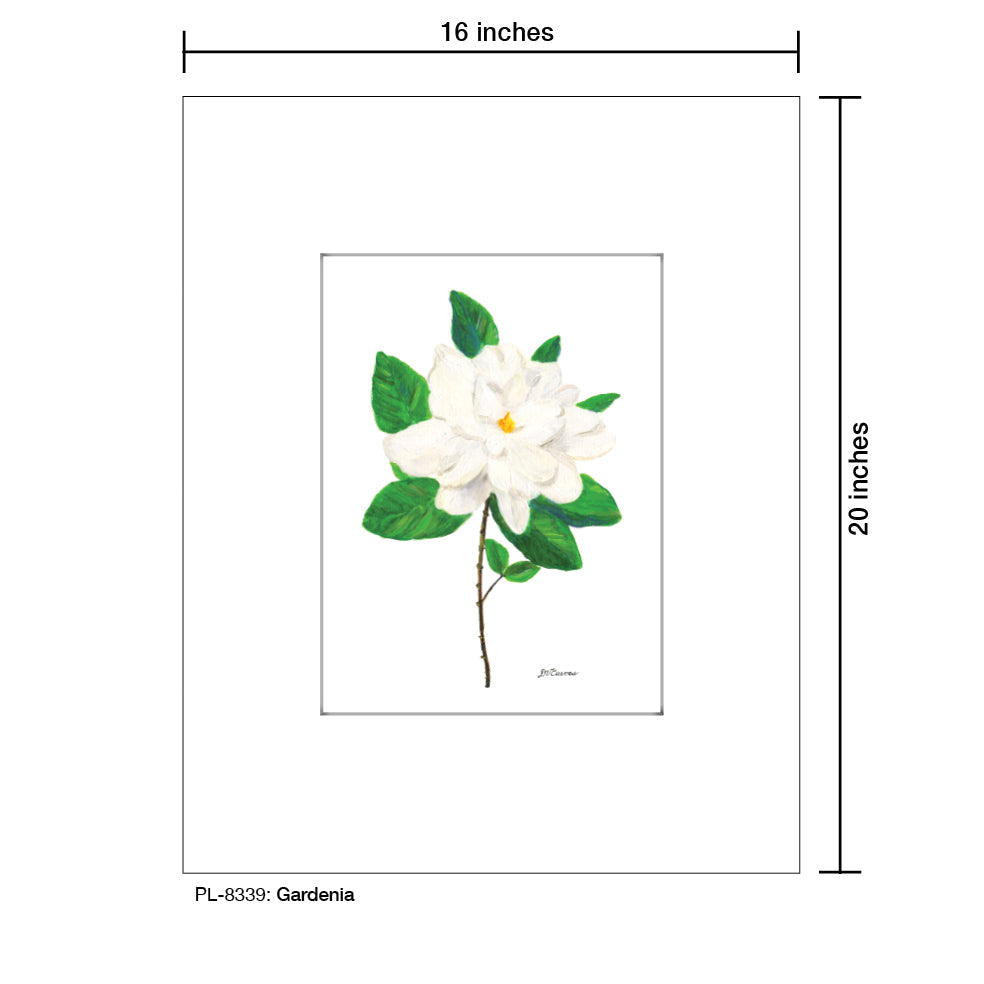 Gardenia, Print (#8339B)