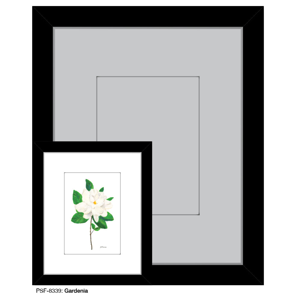 Gardenia, Print (#8339B)