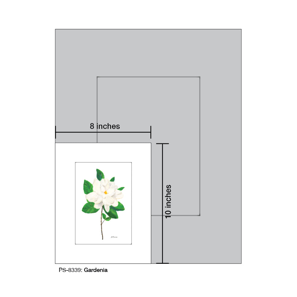 Gardenia, Print (#8339B)