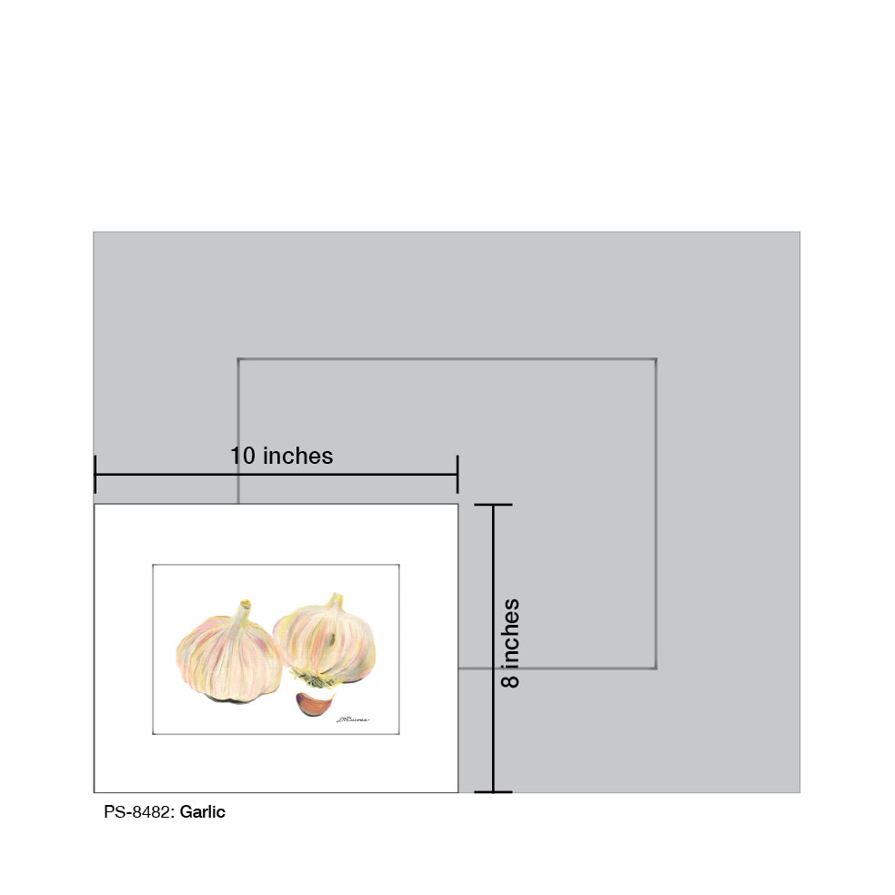 Garlic, Print (#8482A)