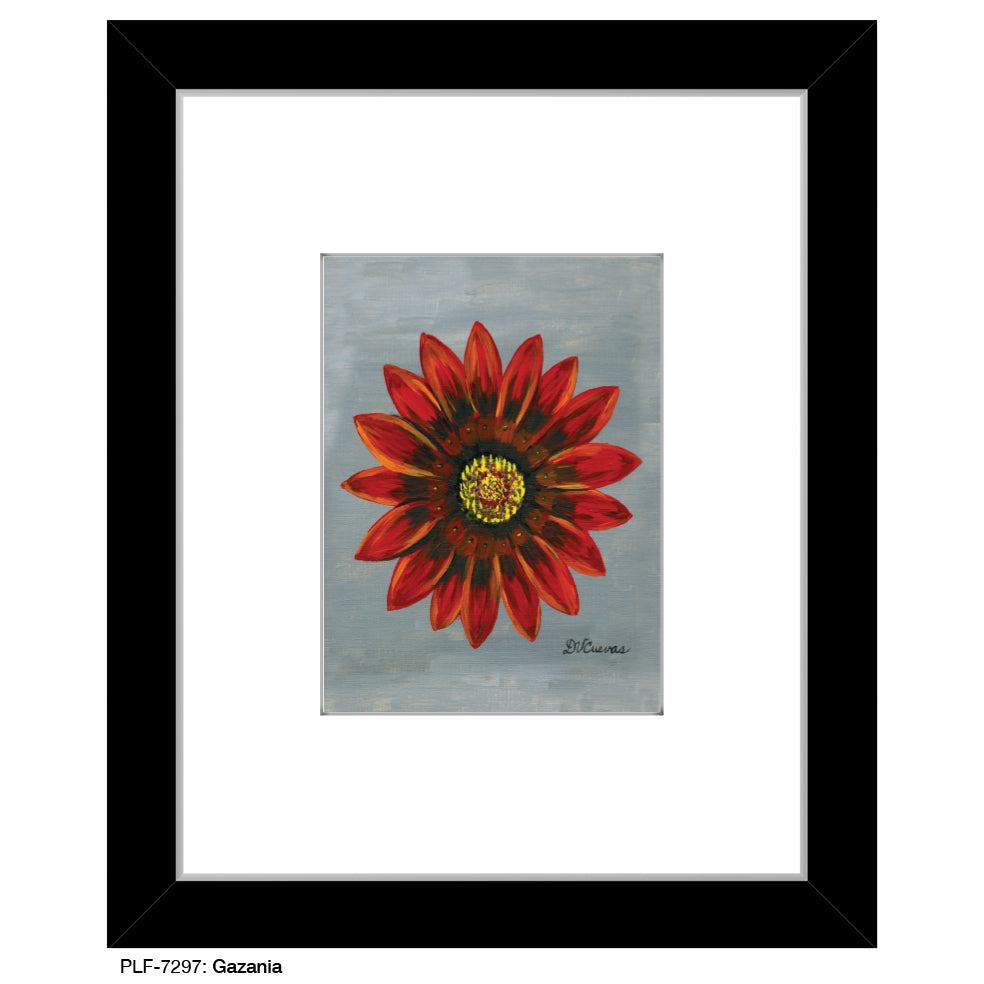 Gazania, Print (#7297A)