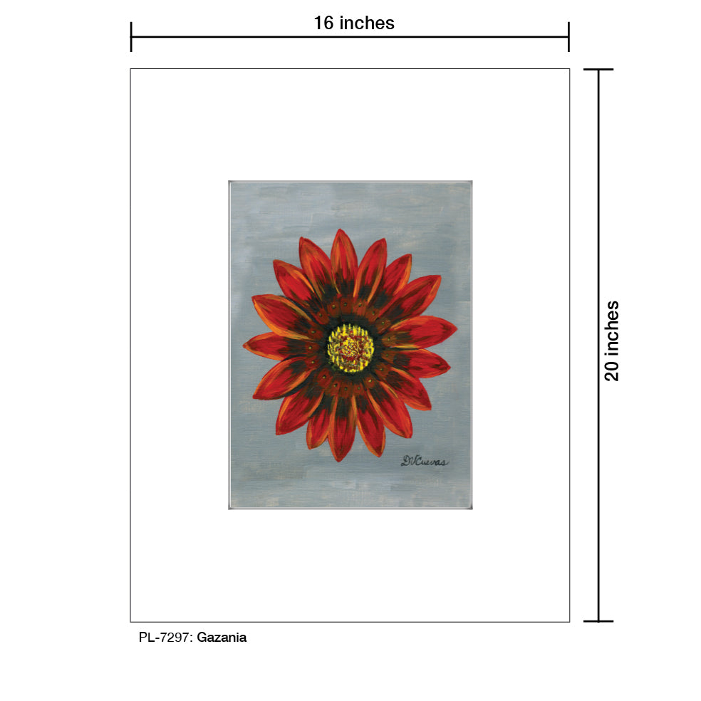 Gazania, Print (#7297A)