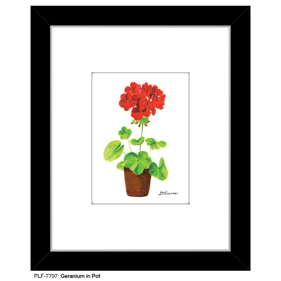 Geranium in Pot, Print (#7797D)