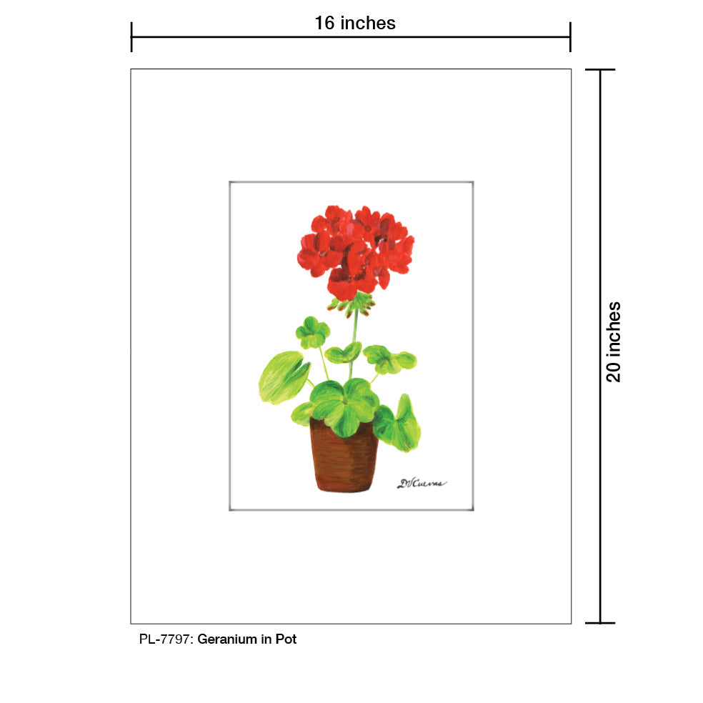 Geranium in Pot, Print (#7797D)
