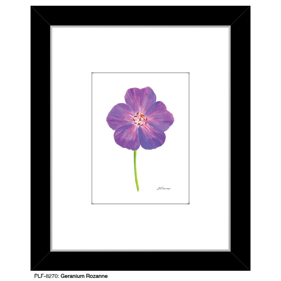 Geranium Rozanne, Print (#8270A)