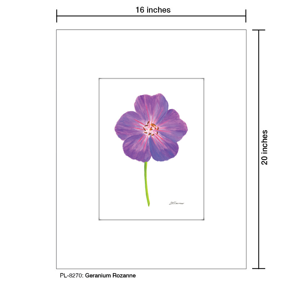 Geranium Rozanne, Print (#8270A)