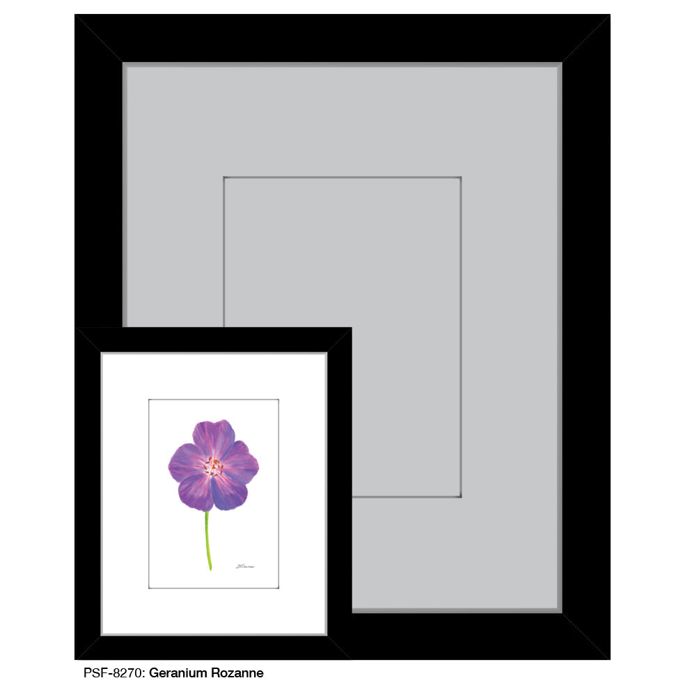 Geranium Rozanne, Print (#8270A)