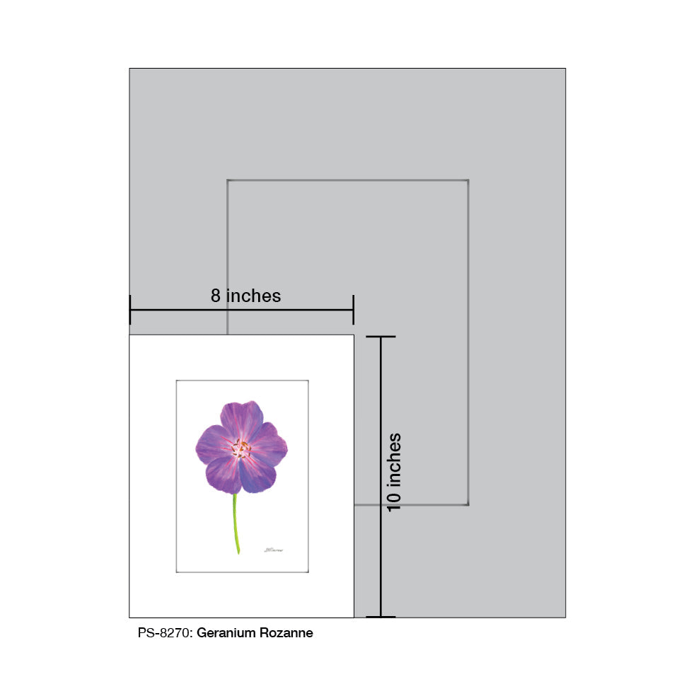 Geranium Rozanne, Print (#8270A)