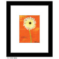 Gerber, Print (#7026B)