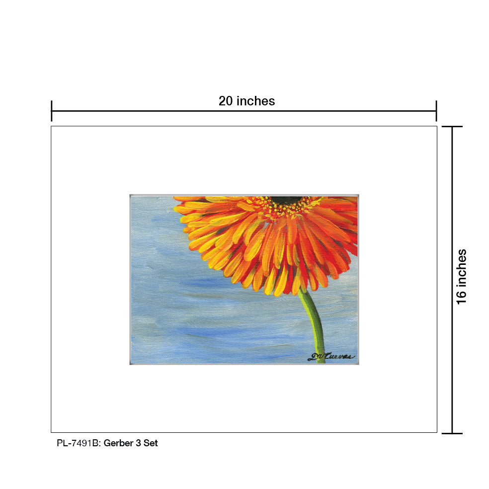 Gerber 3 Set, Print (#7491B)