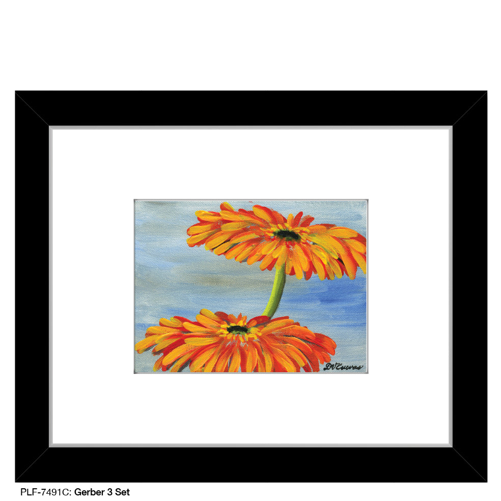 Gerber 3 Set, Print (#7491C)