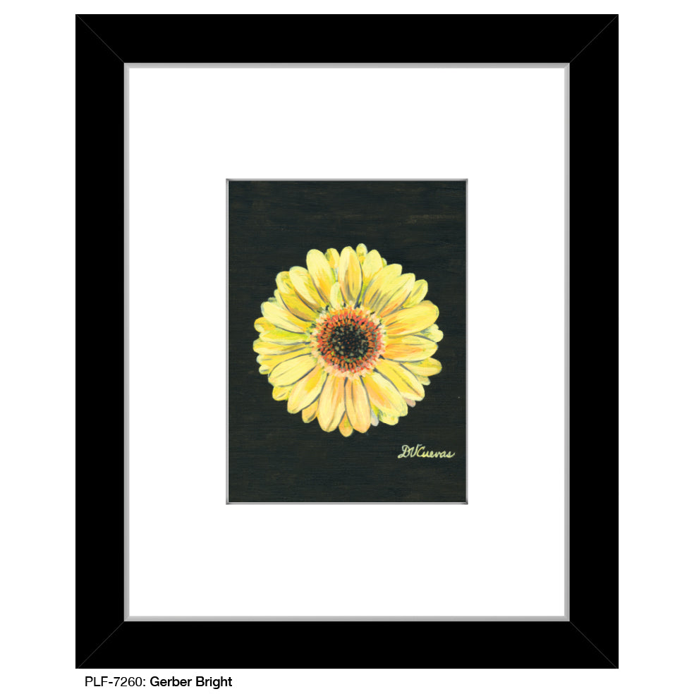 Gerber Bright, Print (#7260D)