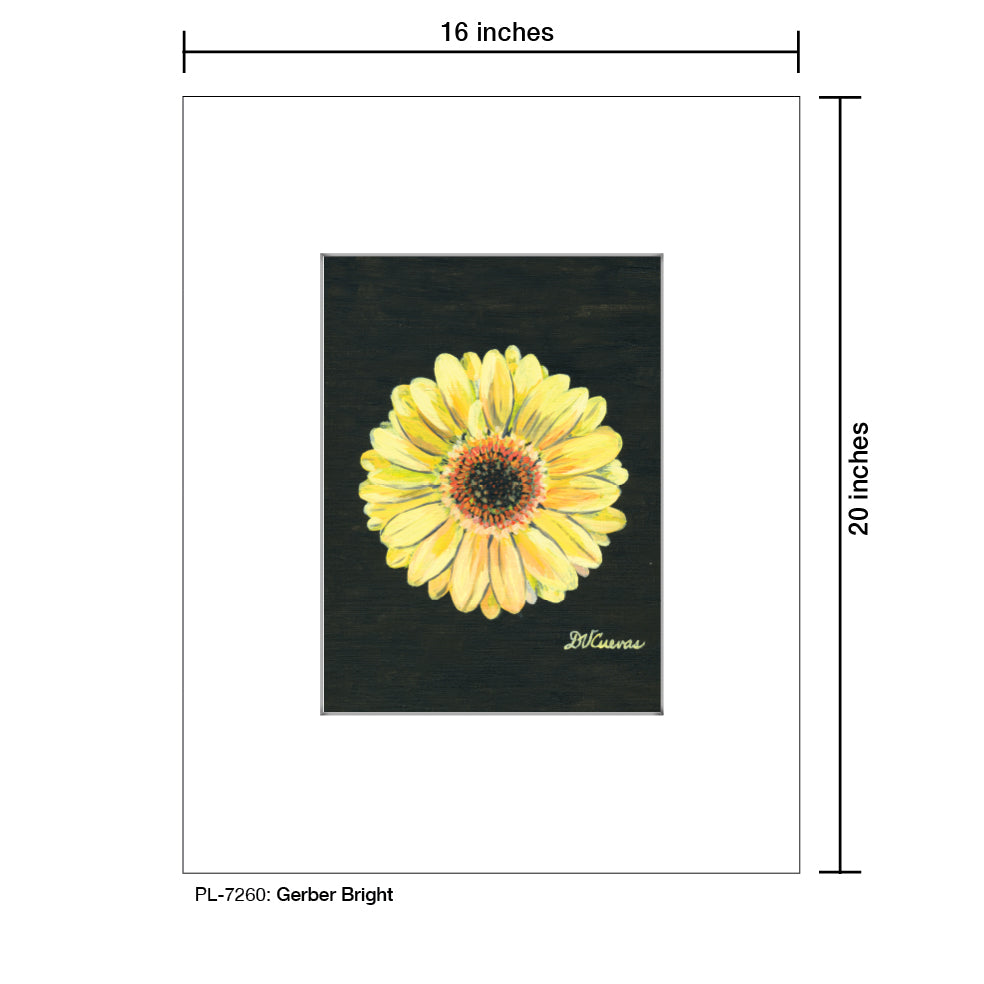 Gerber Bright, Print (#7260D)
