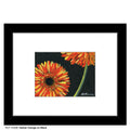 Gerber Orange on Black, Print (#7432B)