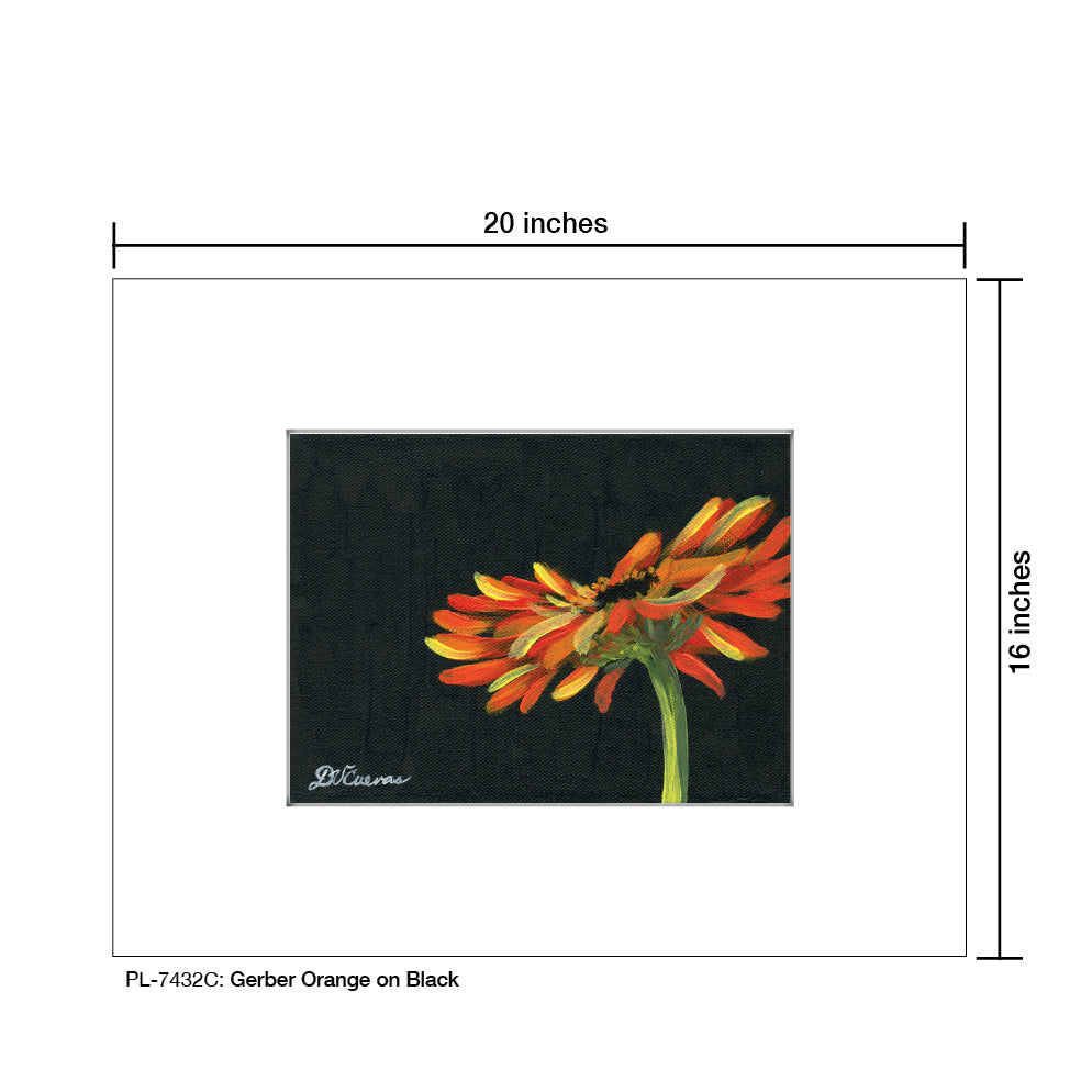Gerber Orange on Black, Print (#7432C)