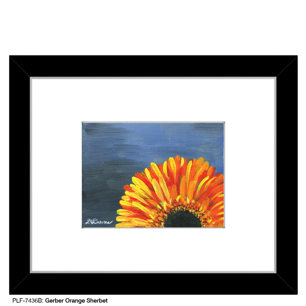 Gerber Orange Sherbet, Print (#7436B)