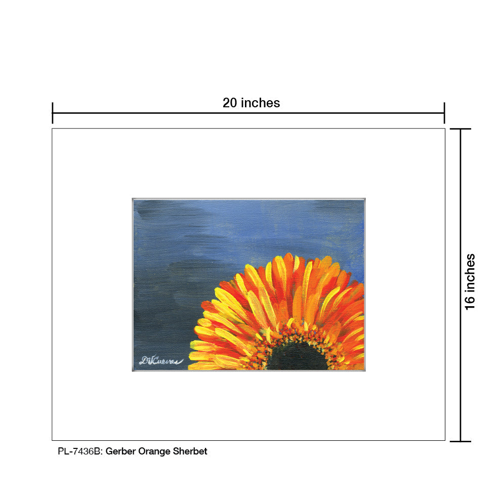 Gerber Orange Sherbet, Print (#7436B)