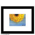 Gerber Sunny, Print (#7498B)