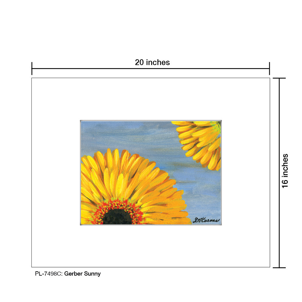 Gerber Sunny, Print (#7498C)