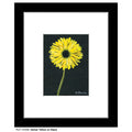 Gerber Yellow on Black, Print (#7435B)