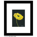 Gerber Yellow on Black, Print (#7435C)
