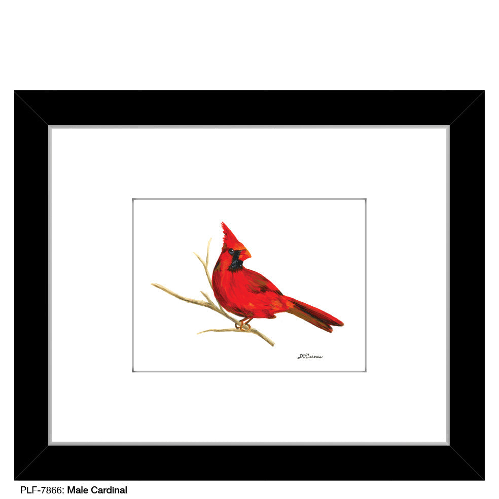 Male Cardinal, Print (#7866H)