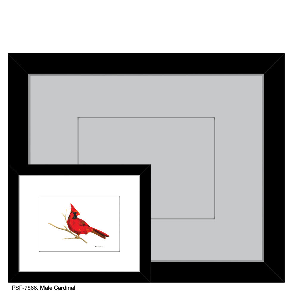 Male Cardinal, Print (#7866H)