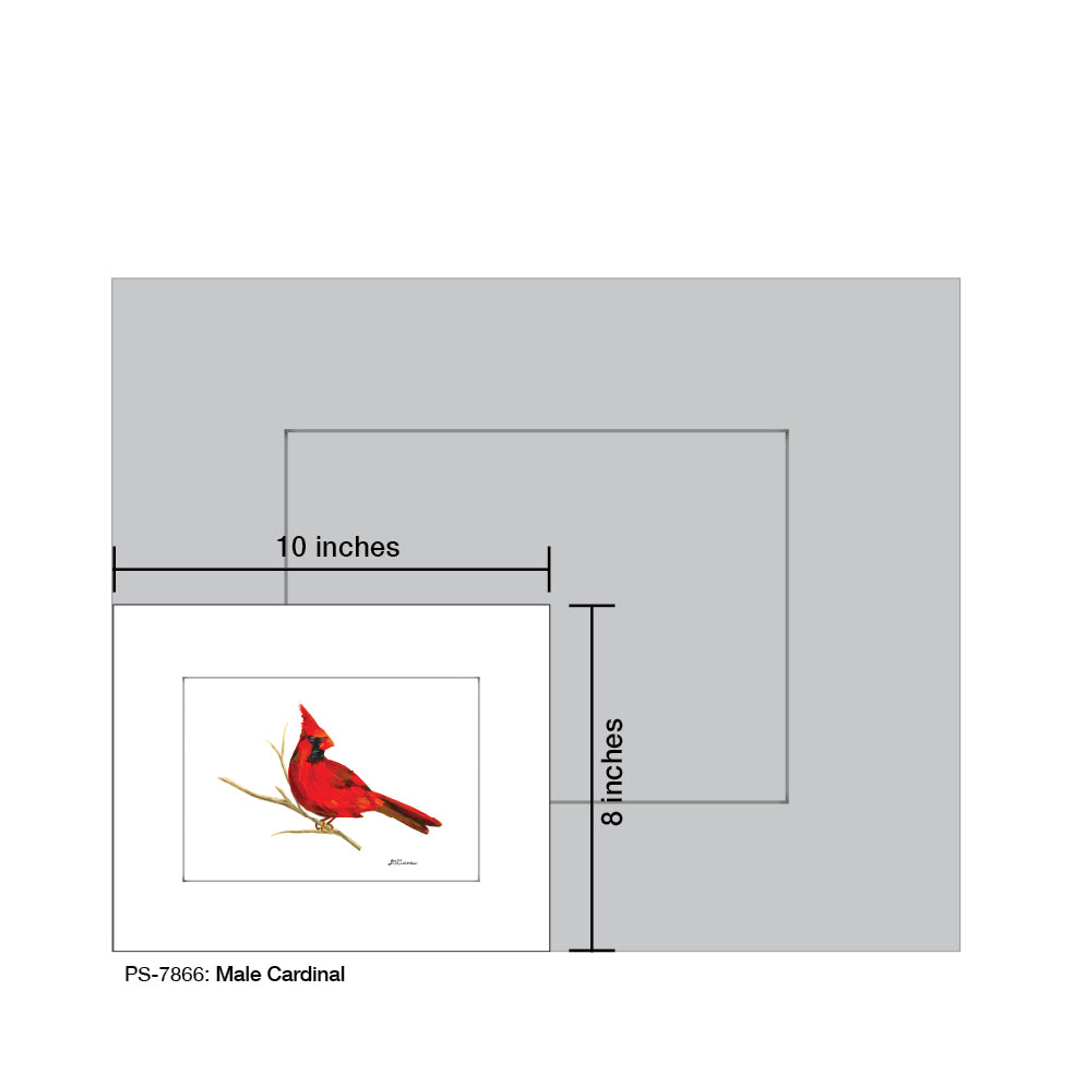 Male Cardinal, Print (#7866H)