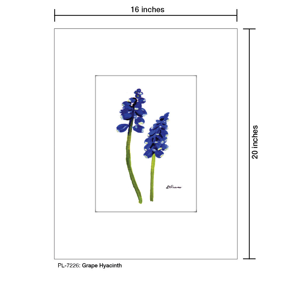Grape Hyacinth, Print (#7226A)