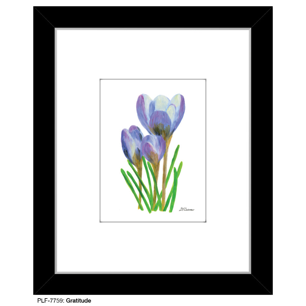 Gratitude, Print (#7759A)