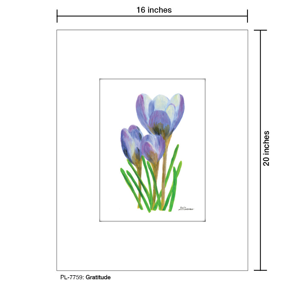Gratitude, Print (#7759A)