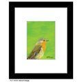 Hint of Orange, Print (#7692D)