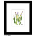 Hyacinth, Print (#7274A)