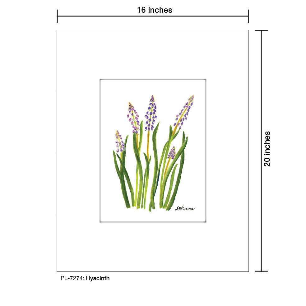 Hyacinth, Print (#7274A)