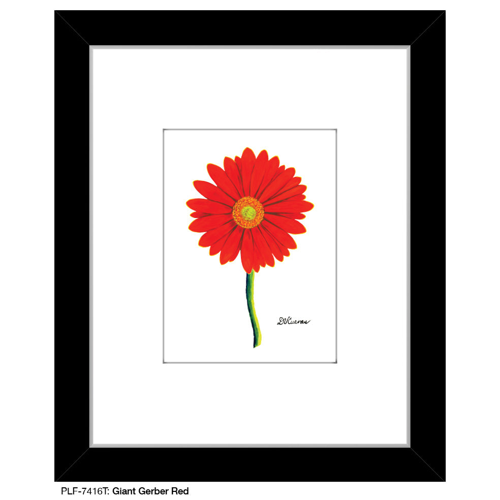 Giant Gerber Red, Print (#7416T)
