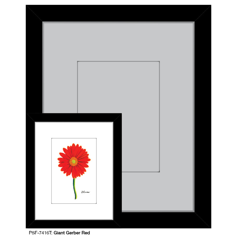 Giant Gerber Red, Print (#7416T)