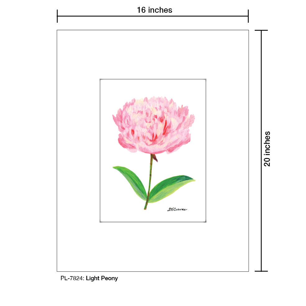 Light Peony, Print (#7824A)