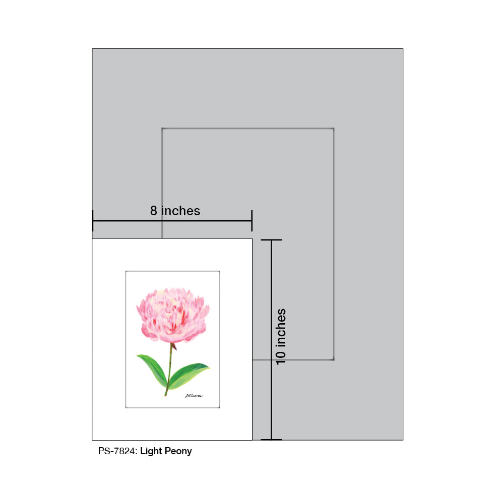 Light Peony, Print (#7824A)