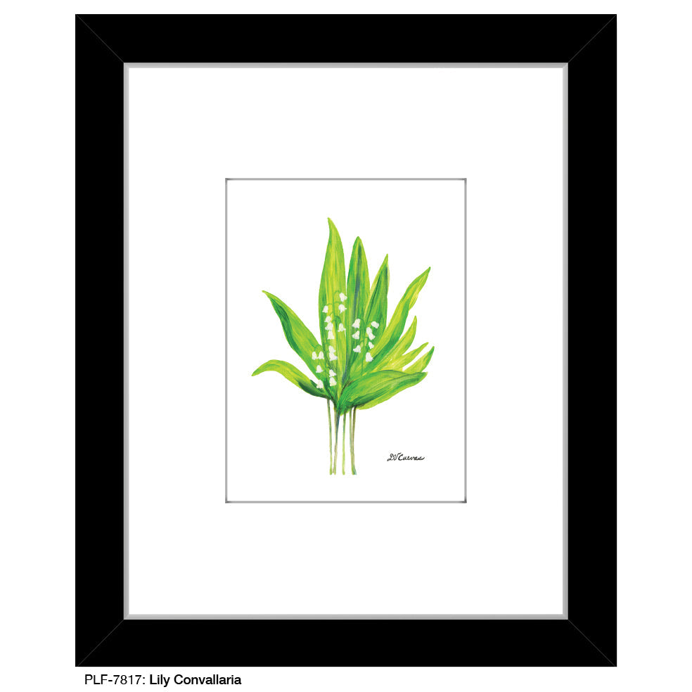 Lily Convallaria, Print (#7817C)
