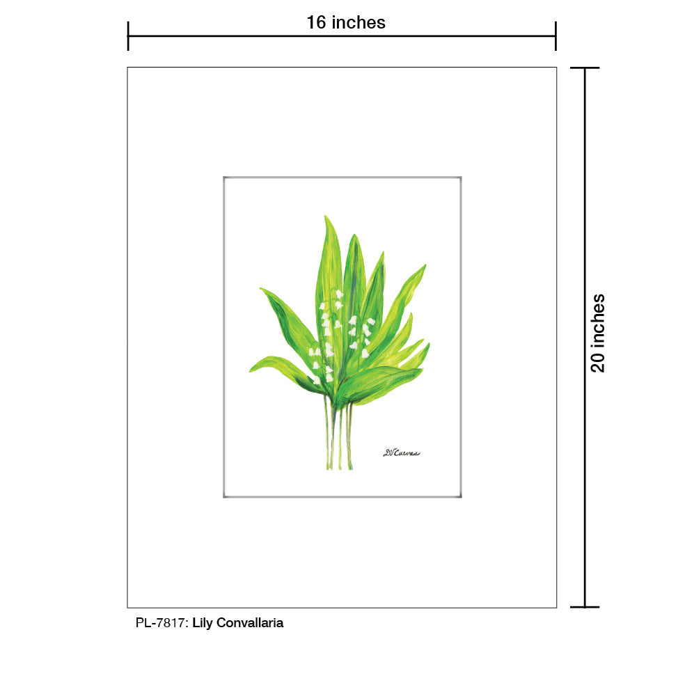 Lily Convallaria, Print (#7817C)