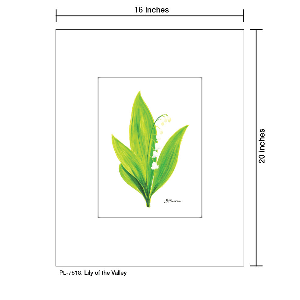 Lily of the Valley, Print (#7818C)