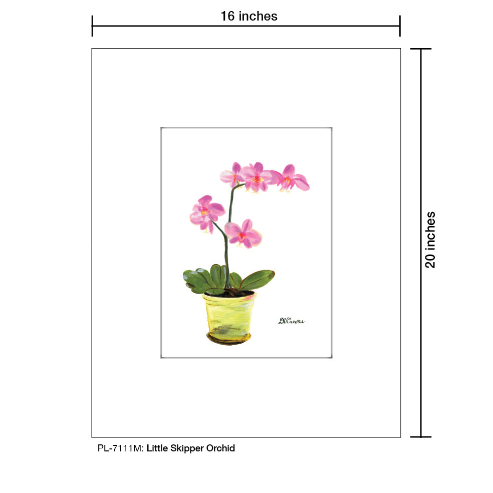 Little Skipper Orchid, Print (#7111M)