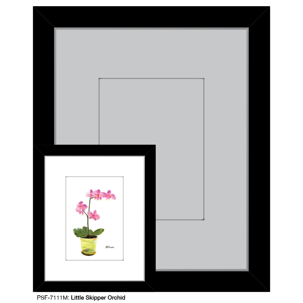 Little Skipper Orchid, Print (#7111M)